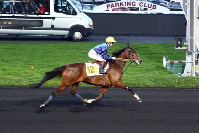 Photo d'arrivée de la course pmu PRIX DJERID à PARIS-VINCENNES le Dimanche 14 janvier 2018
