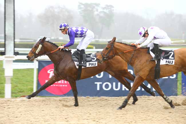 Photo d'arrivée de la course pmu PRIX DE BARDOS à PAU le Mardi 16 janvier 2018