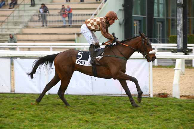 Photo d'arrivée de la course pmu PRIX DU PIC DU MIDI à PAU le Mardi 16 janvier 2018