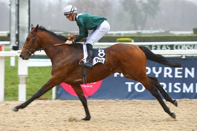 Photo d'arrivée de la course pmu PRIX D'ARTOUSTE à PAU le Mardi 16 janvier 2018