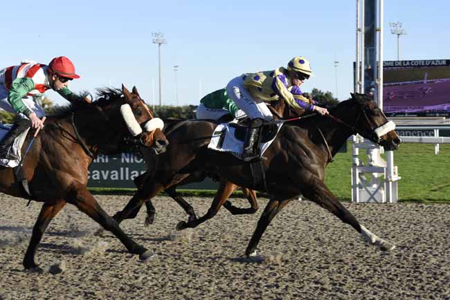 Photo d'arrivée de la course pmu PRIX DE LA CORNICHE FLEURIE à CAGNES-SUR-MER le Mercredi 17 janvier 2018
