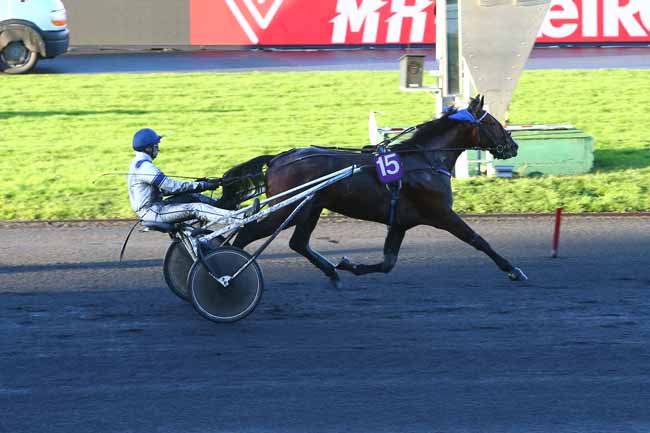 Photo d'arrivée de la course pmu PRIX DE FRESNES (GR B) à PARIS-VINCENNES le Vendredi 19 janvier 2018