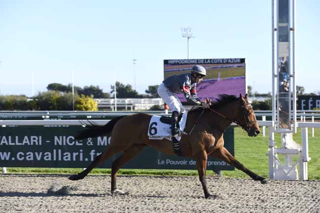 Photo d'arrivée de la course pmu PRIX DES ILES DE LERINS à CAGNES-SUR-MER le Mardi 23 janvier 2018