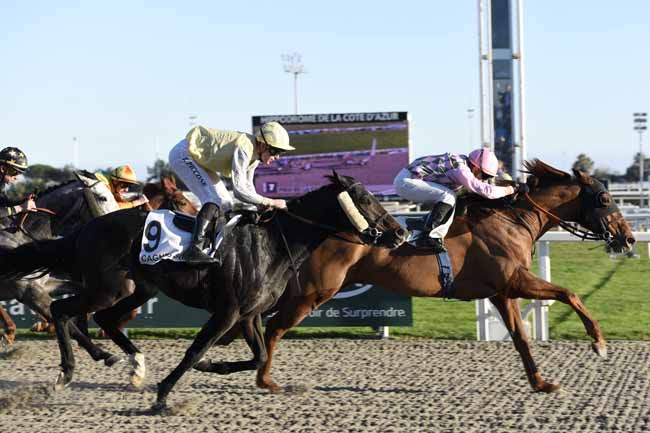Photo d'arrivée de la course pmu PRIX DE LA CANEBIERE à CAGNES-SUR-MER le Mardi 23 janvier 2018