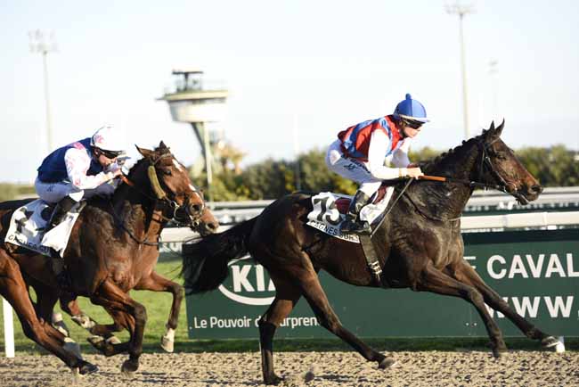 Photo d'arrivée de la course pmu PRIX YVES BACHELIER à CAGNES-SUR-MER le Mardi 23 janvier 2018