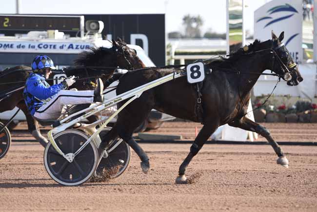 Photo d'arrivée de la course pmu PRIX UNE DE MAI à CAGNES-SUR-MER le Mercredi 24 janvier 2018