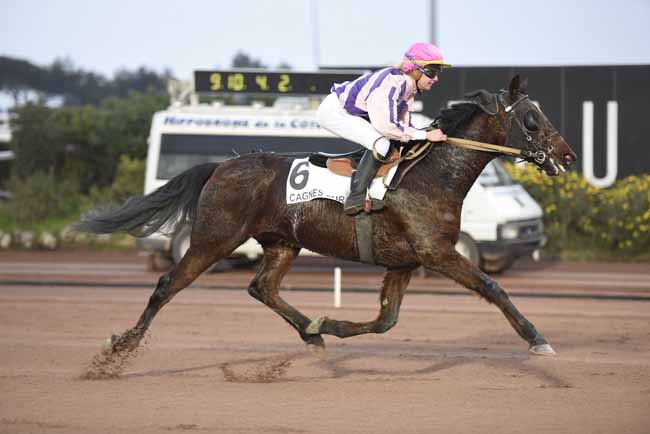 Photo d'arrivée de la course pmu PRIX KRAMA KALL à CAGNES-SUR-MER le Mercredi 24 janvier 2018