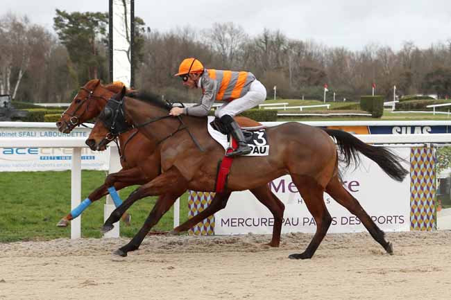 Photo d'arrivée de la course pmu PRIX DE LESCUN à PAU le Vendredi 26 janvier 2018
