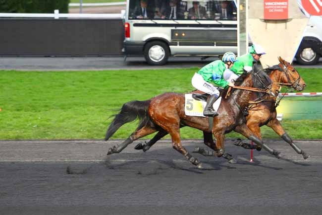 Photo d'arrivée de la course pmu PRIX DE FAVEROLLES à PARIS-VINCENNES le Lundi 29 janvier 2018