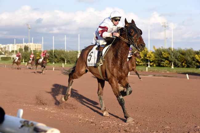 Photo d'arrivée de la course pmu PRIX DE BEDARIEUX à CAGNES-SUR-MER le Vendredi 9 février 2018