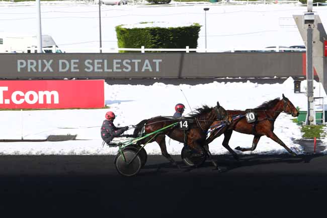 Photo d'arrivée de la course pmu PRIX DE SELESTAT à PARIS-VINCENNES le Samedi 10 février 2018