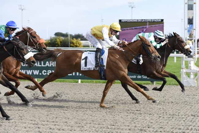 Photo d'arrivée de la course pmu PRIX DES MYRTES à CAGNES-SUR-MER le Mercredi 21 février 2018