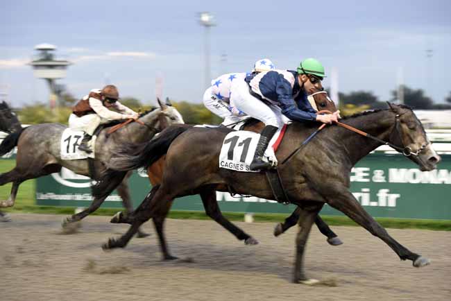 Photo d'arrivée de la course pmu PRIX JACQUES GELIOT à CAGNES-SUR-MER le Samedi 24 février 2018