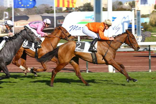 Photo d'arrivée de la course pmu PRIX DE CARRY à MARSEILLE-BORELY le Lundi 26 février 2018