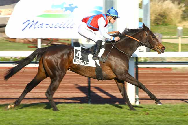 Photo d'arrivée de la course pmu PRIX DE MARSEILLE-VIVAUX à MARSEILLE-BORELY le Lundi 26 février 2018