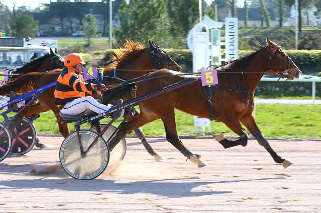 Photo d'arrivée de la course pmu PRIX TOM KAZAK à PONTCHATEAU le Mardi 27 février 2018
