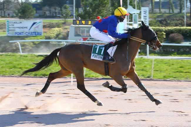 Photo d'arrivée de la course pmu PRIX INTERMARCHE à PONTCHATEAU le Mardi 27 février 2018