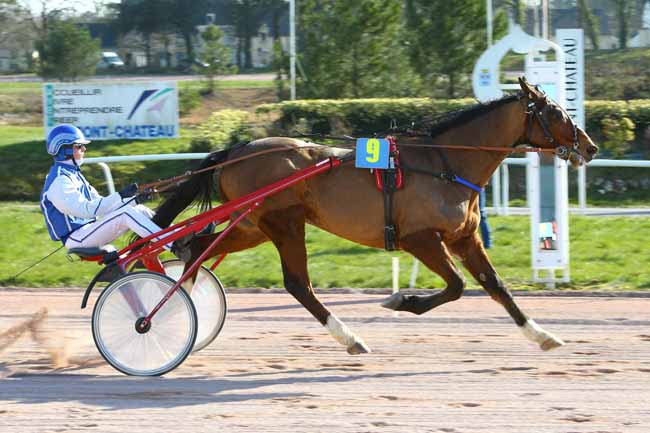 Photo d'arrivée de la course pmu PRIX DE VANNES à PONTCHATEAU le Mardi 27 février 2018