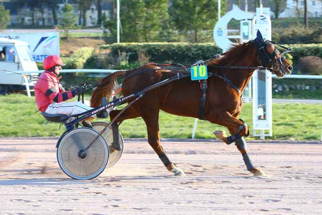 Photo d'arrivée de la course pmu PRIX DE SAVENAY (GR A) à PONTCHATEAU le Mardi 27 février 2018