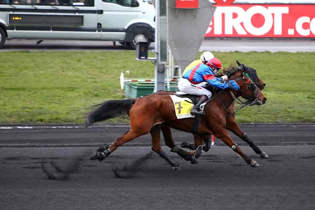 Photo d'arrivée de la course pmu PRIX DE MARMANDE à PARIS-VINCENNES le Jeudi 1 mars 2018