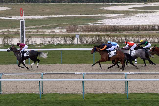 Photo d'arrivée de la course pmu PRIX DE BRANVILLE à DEAUVILLE le Jeudi 1 mars 2018
