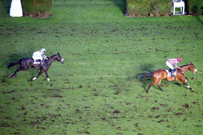 Photo d'arrivée de la course pmu PRIX VARAVILLE à AUTEUIL le Dimanche 4 mars 2018