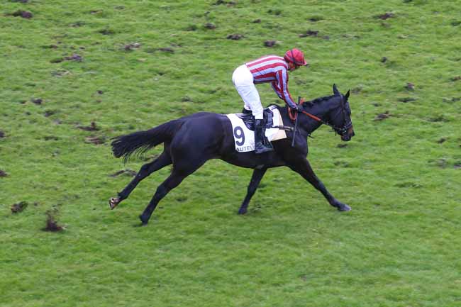 Photo d'arrivée de la course pmu PRIX JUIGNE à AUTEUIL le Dimanche 4 mars 2018