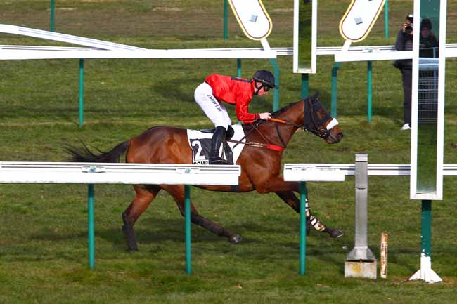 Photo d'arrivée de la course pmu PRIX MASTER BOB à COMPIEGNE le Lundi 5 mars 2018