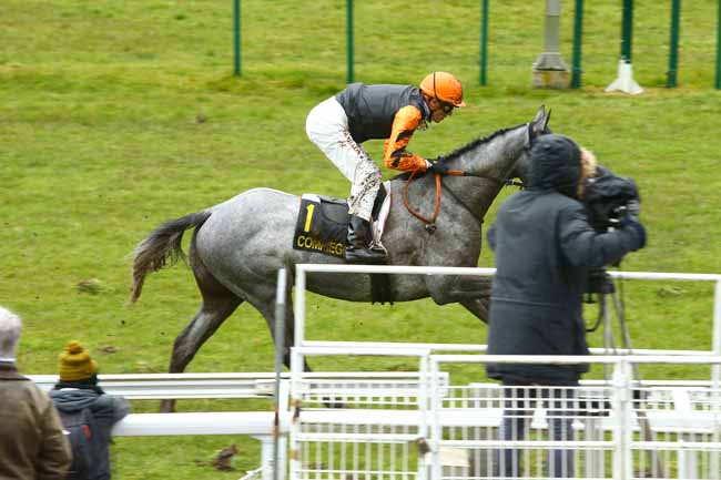 Photo d'arrivée de la course pmu PRIX D'AUTRECHES à COMPIEGNE le Mercredi 7 mars 2018