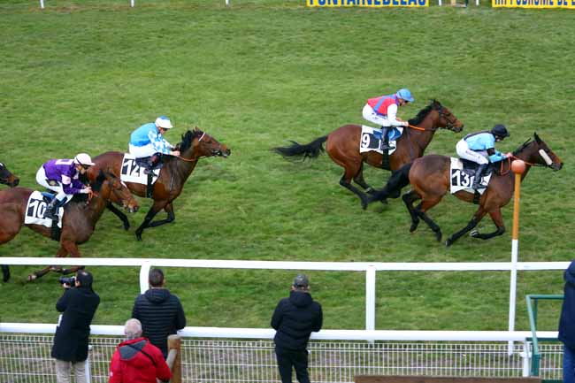 Photo d'arrivée de la course pmu PRIX DE L'ESSONNE à FONTAINEBLEAU le Jeudi 8 mars 2018