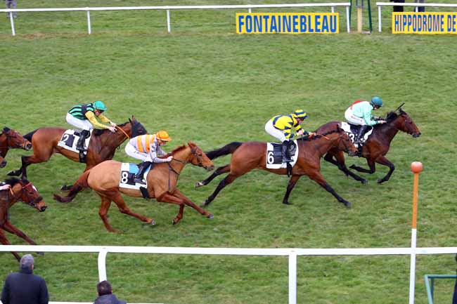 Photo d'arrivée de la course pmu PRIX GEORGES DERCOURT à FONTAINEBLEAU le Jeudi 8 mars 2018