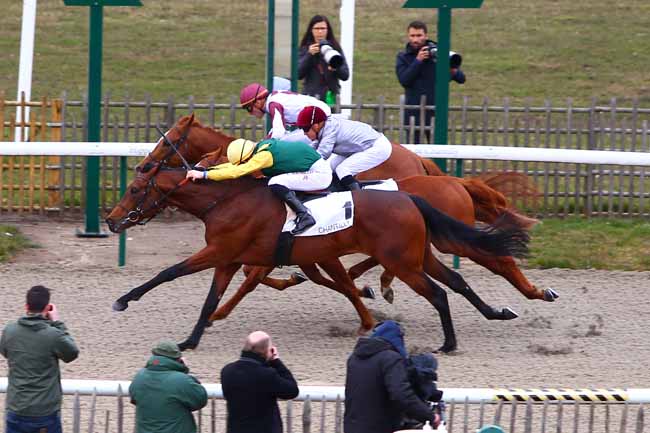 Photo d'arrivée de la course pmu PRIX DE LA TRAVERSIERE à CHANTILLY le Vendredi 9 mars 2018