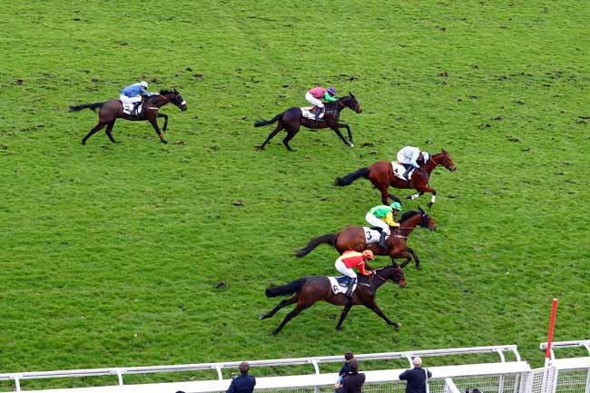 Photo d'arrivée de la course pmu PRIX HUBERT D'AILLIERES à AUTEUIL le Samedi 10 mars 2018