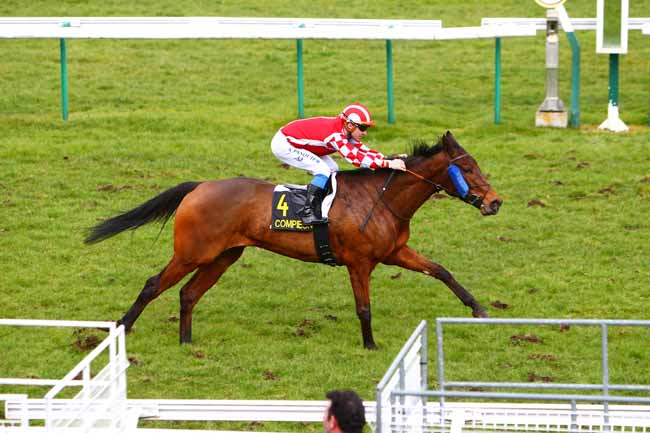 Photo d'arrivée de la course pmu PRIX DE CLAIROIX à COMPIEGNE le Lundi 12 mars 2018