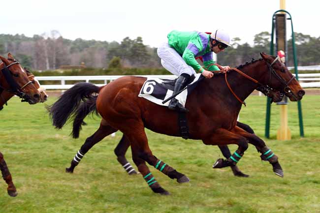 Photo d'arrivée de la course pmu PRIX DE NEMOURS à FONTAINEBLEAU le Mardi 13 mars 2018