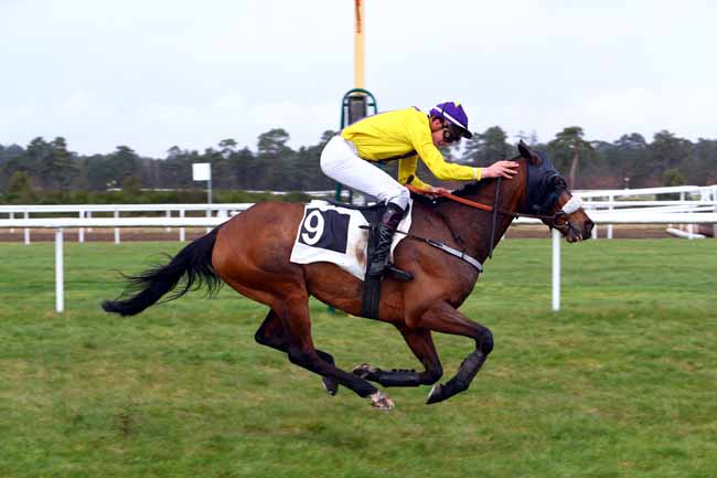 Photo d'arrivée de la course pmu PRIX DE BARBIZON à FONTAINEBLEAU le Mardi 13 mars 2018