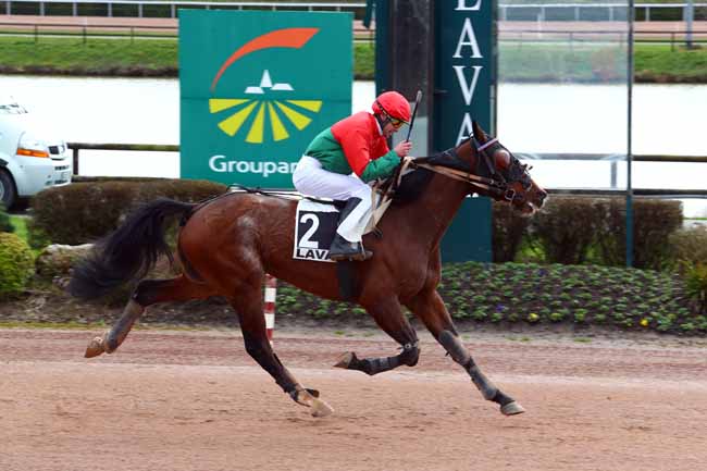 Photo d'arrivée de la course pmu PRIX WWW.HIPPODROME-LAVAL.FR à LAVAL le Mercredi 14 mars 2018