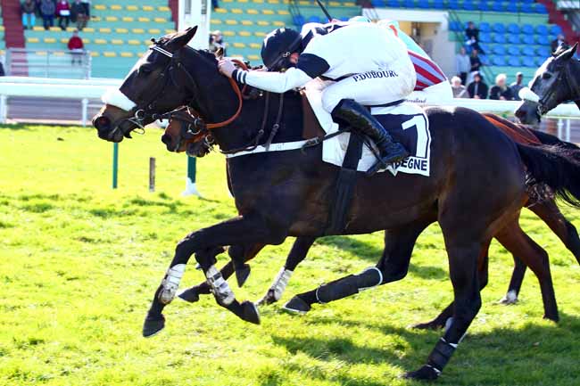 Photo d'arrivée de la course pmu PRIX JOHN CUNNINGTON à COMPIEGNE le Mercredi 14 mars 2018