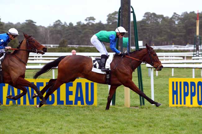 Photo d'arrivée de la course pmu PRIX DES BOULEAUX à FONTAINEBLEAU le Vendredi 16 mars 2018