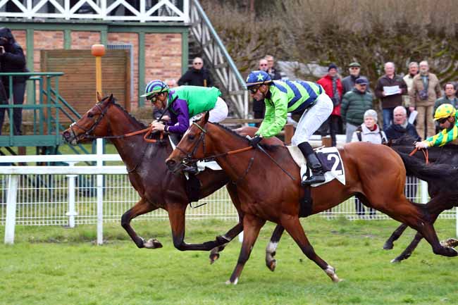 Photo d'arrivée de la course pmu PRIX DE LA MALMONTAGNE à FONTAINEBLEAU le Vendredi 16 mars 2018