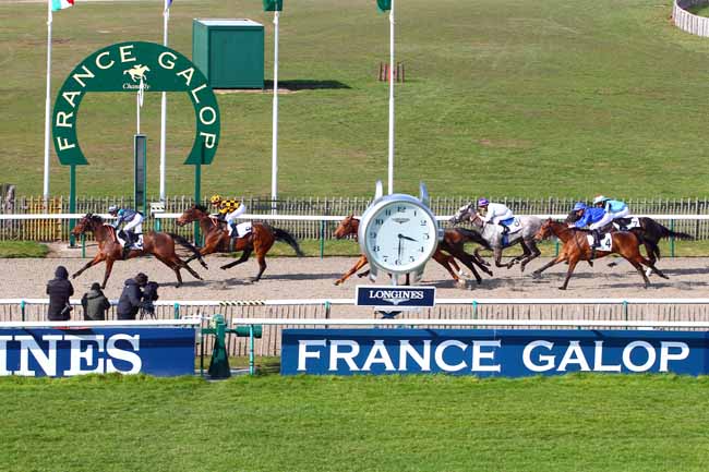 Photo d'arrivée de la course pmu PRIX DE LA QUEUE DU RENARD à CHANTILLY le Mardi 20 mars 2018