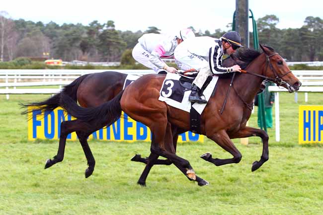 Photo d'arrivée de la course pmu PRIX DE MONTEREAU à FONTAINEBLEAU le Vendredi 30 mars 2018