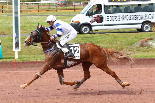 Photo d'arrivée de la course pmu PRIX DE L'AUBIER à ANGERS le Mercredi 4 avril 2018