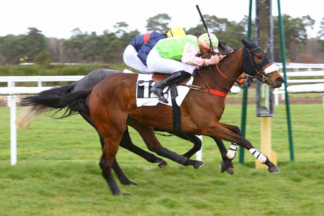 Photo d'arrivée de la course pmu PRIX DE LA TILLAIE à FONTAINEBLEAU le Mercredi 4 avril 2018