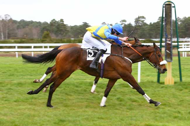 Photo d'arrivée de la course pmu GRAND STEEPLE-CHASE-CROSS-COUNTRY DE FONTAINEBLEAU à FONTAINEBLEAU le Mercredi 4 avril 2018