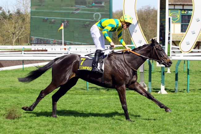 Photo d'arrivée de la course pmu PRIX DU PALAIS IMPERIAL à COMPIEGNE le Vendredi 6 avril 2018