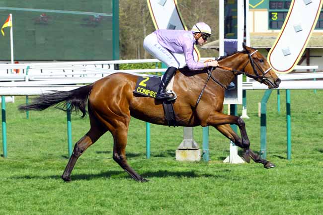 Photo d'arrivée de la course pmu PRIX DES TAMBOURAINES à COMPIEGNE le Vendredi 6 avril 2018