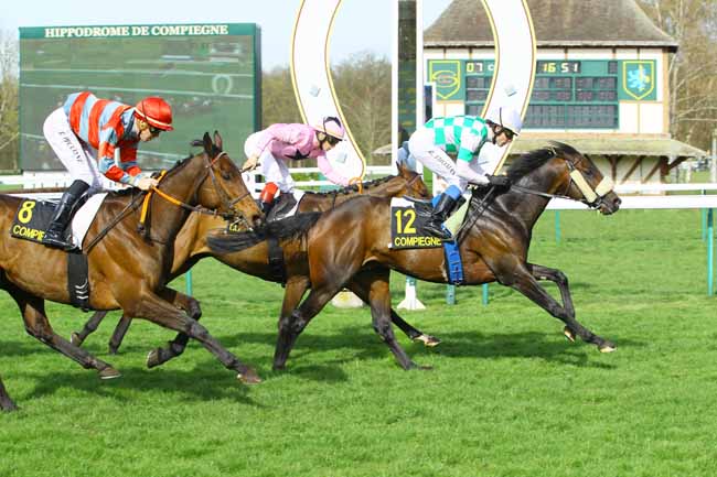 Photo d'arrivée de la course pmu PRIX DE L'AMIENOIS à COMPIEGNE le Vendredi 6 avril 2018