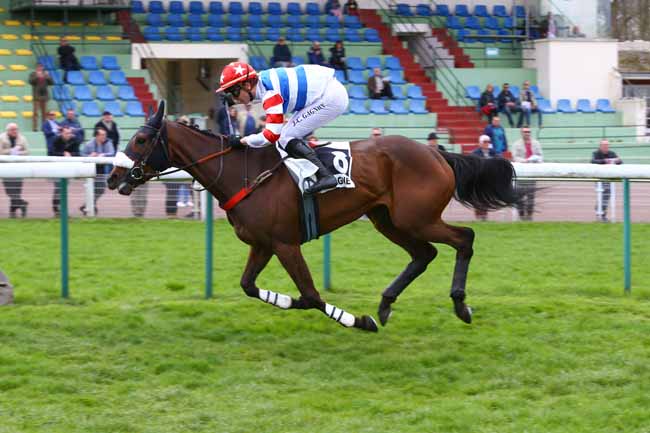 Photo d'arrivée de la course pmu PRIX BOG FROG à COMPIEGNE le Mardi 10 avril 2018