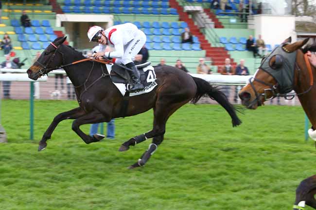 Photo d'arrivée de la course pmu PRIX DE L'ILE DE RE à COMPIEGNE le Mardi 10 avril 2018